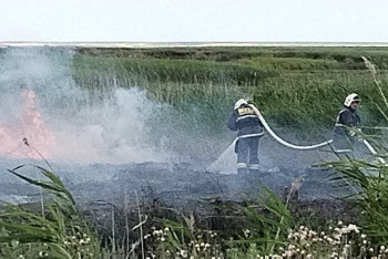 Фотография к новости: Сухостой и кустарники загорелись в Астане