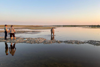 Названа возможная причина массовой гибели рыбы в Атырауской области