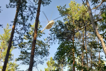 Фотография к новости: Лесной пожар произошёл в ВКО