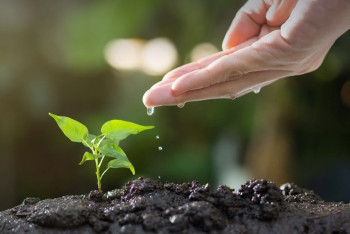 Фотография к новости: 10 экопривычек за 10 дней хотят привить казахстанцам