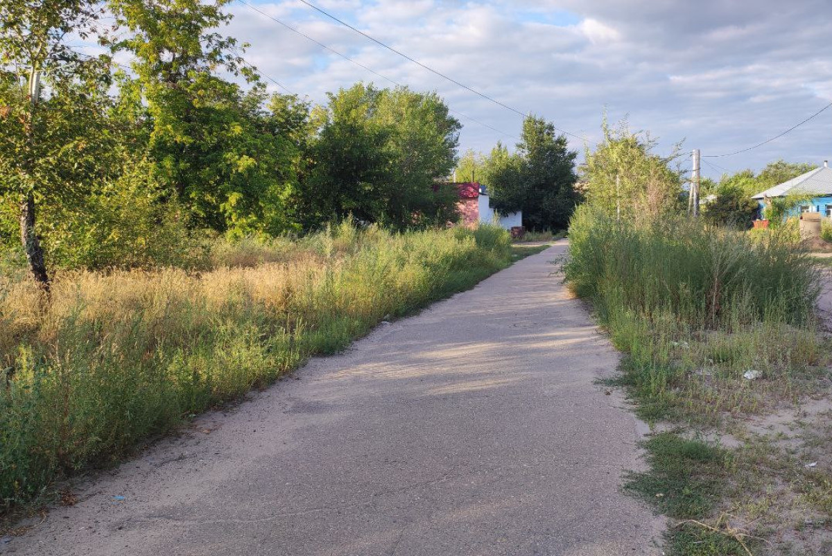 Альбина Халел