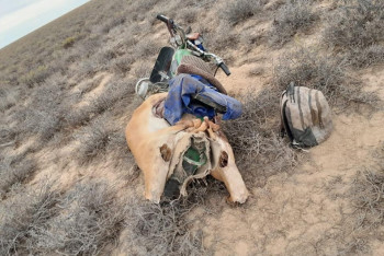 Фотография к новости: Браконьеров задержали в области Улытау