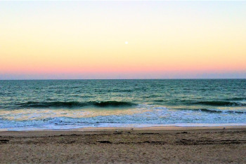 Государству возвращен земельный участок на побережье Каспийского моря