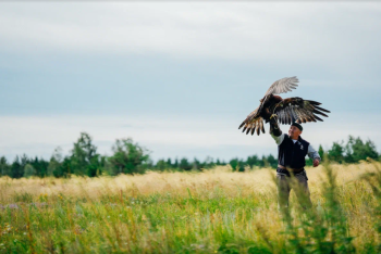 Фотография к новости: Лучших ловчих птиц готовят казахстанцы для участия во Всемирных играх кочевников