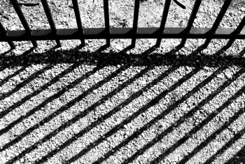 Фотография к новости: Участок площадью три гектара вернули в госсобственность в Уральске