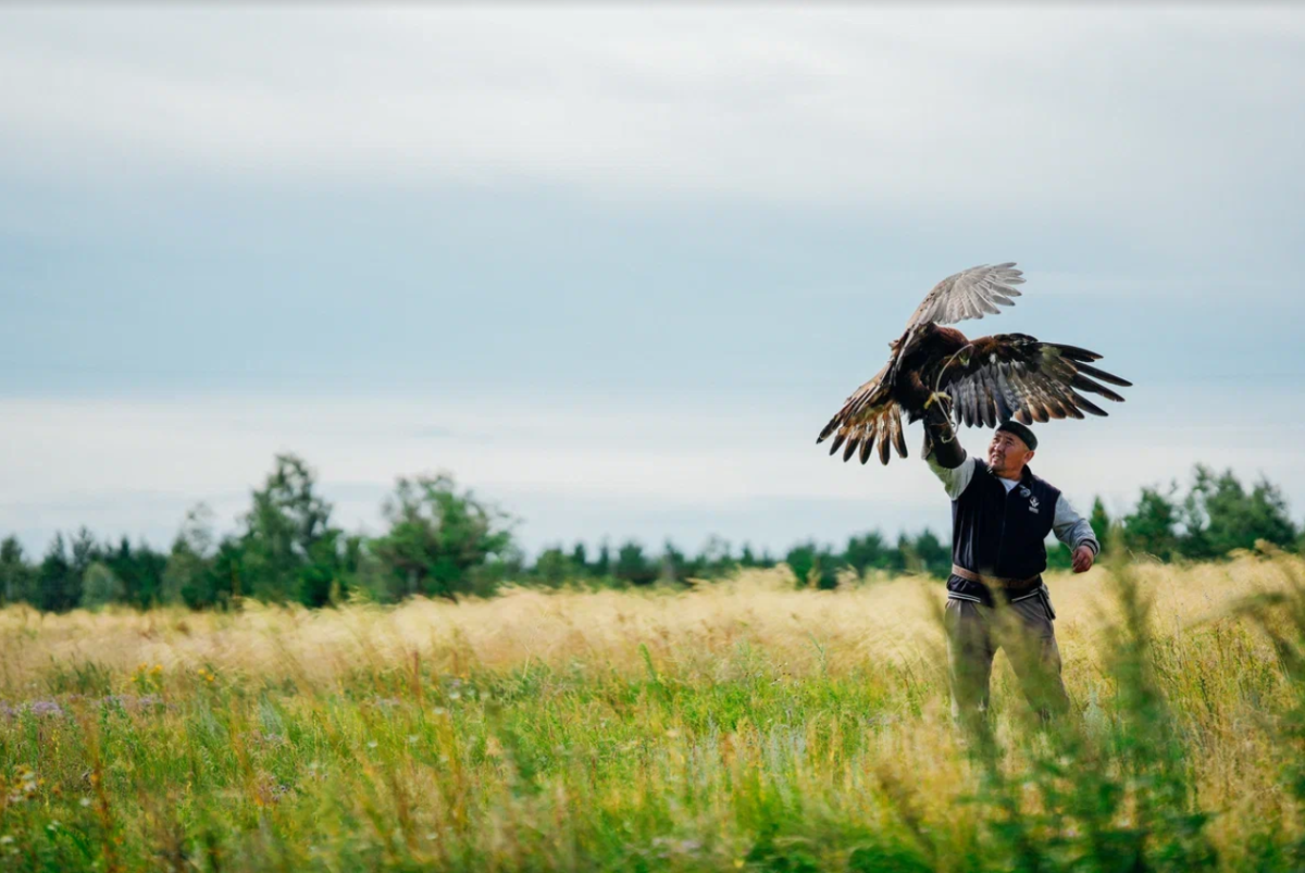 Ассоциация национальных видов спорта