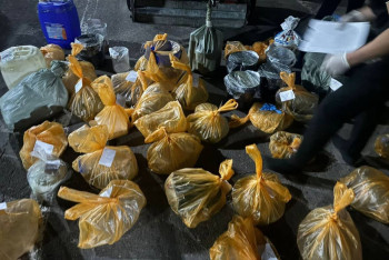 Фотография к новости: Крупную нарколабораторию обнаружили в Алматинской области