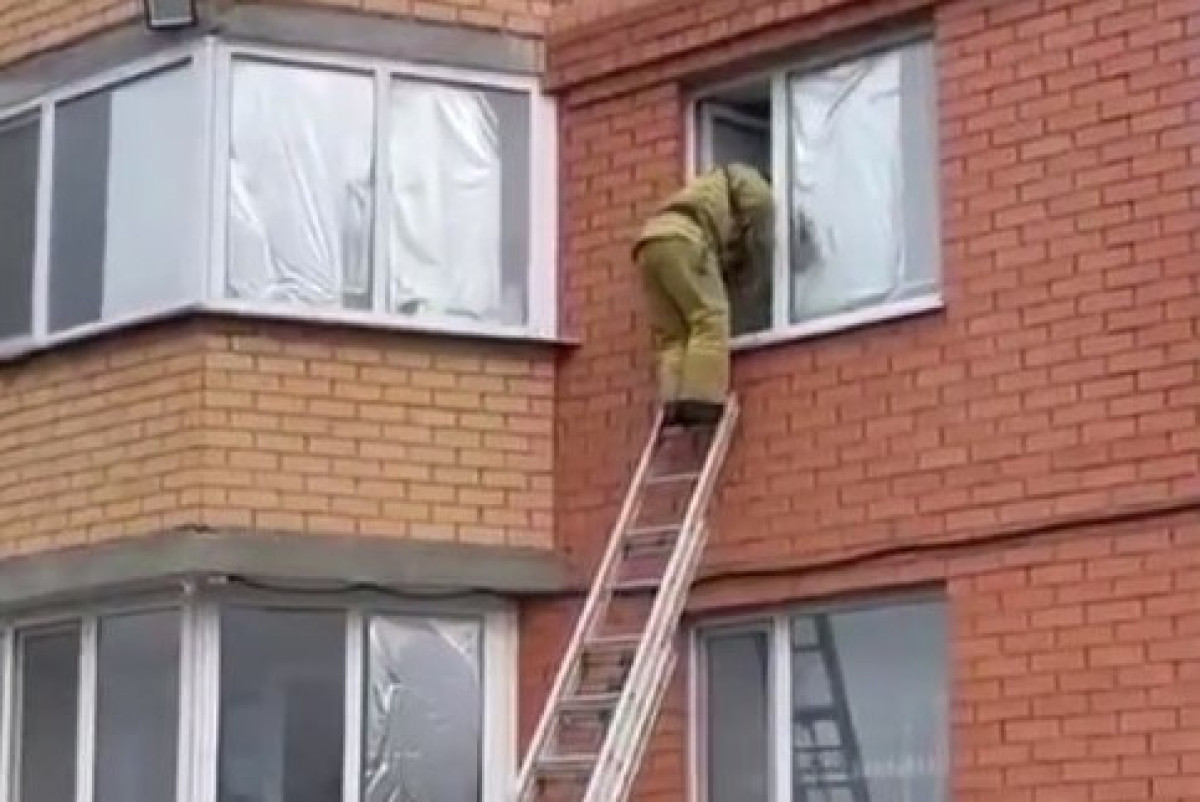 кадр видео