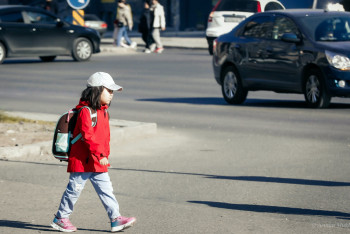 Фотография к новости: Четверть детских смертей от внешних причин происходит в результате ДТП - Минздрав