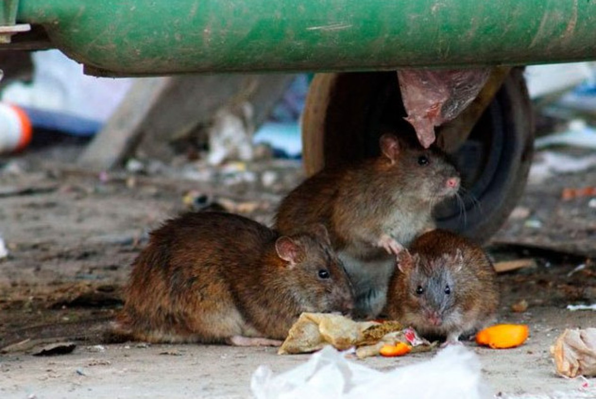 иллюстративное фото.