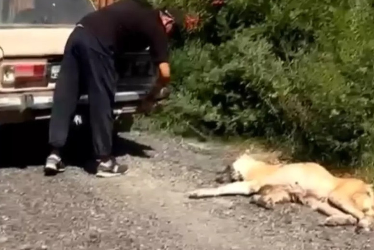 скриншот видео