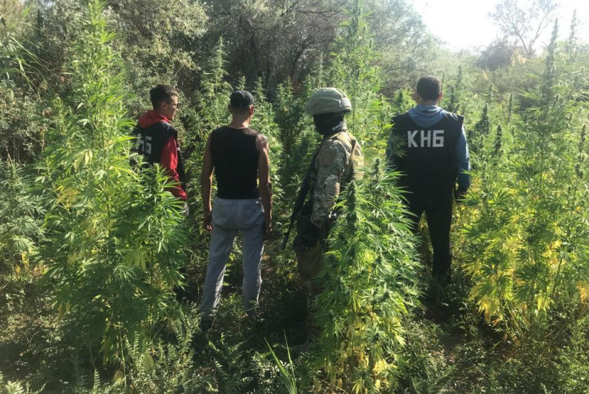 прокуратура Кызылординской области