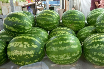 Фотография к новости: Фермеры Казахстана на грани банкротства из-за геополитического конфликта