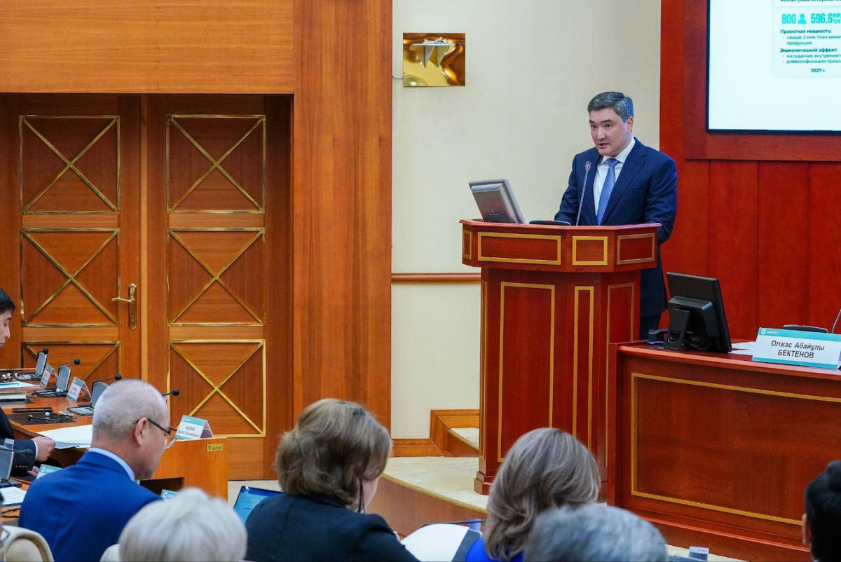 В "АMANAT" уверены, что общество поддержит идею строительства АЭС