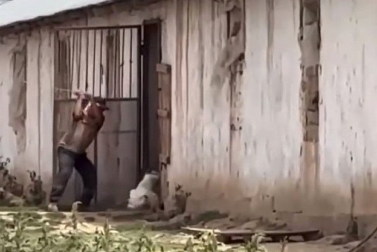 telegram-канал patriot