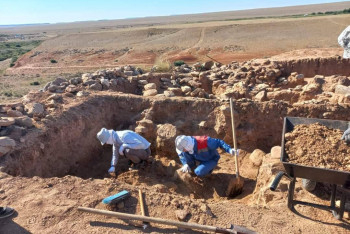 Фотография к новости: В Туркестанской области нашли артефакты эпохи Кангюй