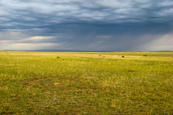 Новую практику расторжения договоров с владельцами сельхозземель хотят ввести в Казахстане