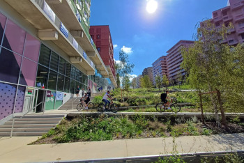 Фотография к новости: В каких условиях живут паралимпийцы Казахстана в Париже