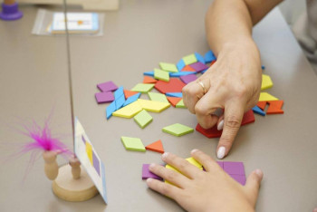 Фотография к новости: Инклюзивное образование в Казахстане: школы готовы, а специалисты в дефиците