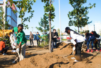 Фотография к новости: Участники V Всемирных игр кочевников посадили деревья в Астане