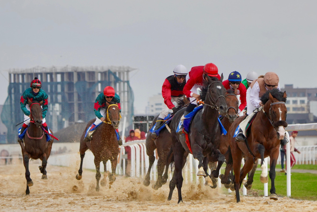 Дирекция ВИК