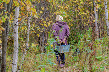 Фотография к новости: Заблудившуюся в лесу пожилую карагандинку разыскали спасатели
