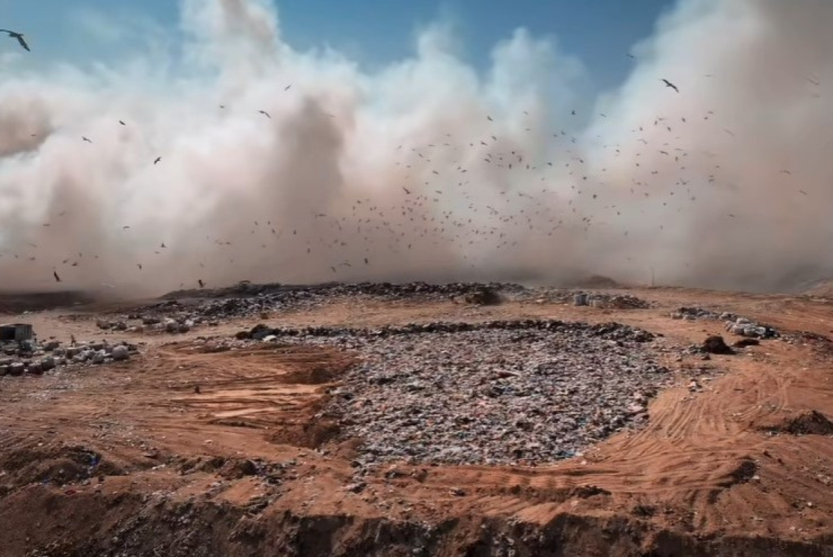 кадр из видео