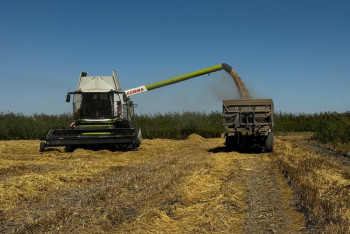 Фотография к новости: Некому работать на полях – рисоводы Казахстана бьют тревогу из-за дефицита кадров