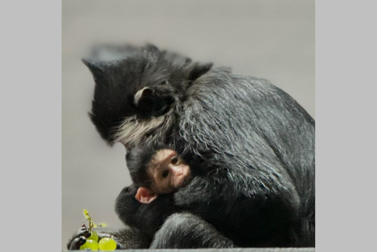 Карагандинский зоопарк