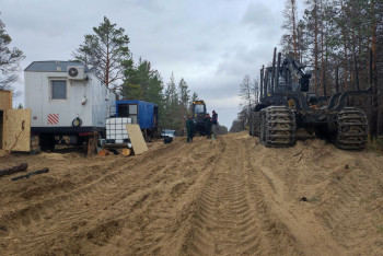 Фотография к новости: Лесоповал по-семски: как валят гарь после пожара в резервате "Семей Орманы"