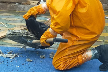 Фотография к новости: Детей спасли от ос сотрудники МЧС в Астане