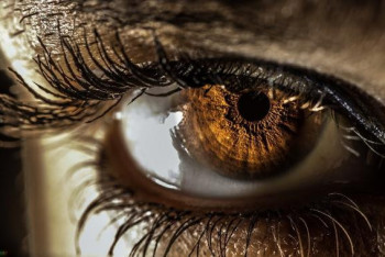 Фотография к новости: Зрительный имплант Илона Маска позволит видеть даже незрячим с рождения людям