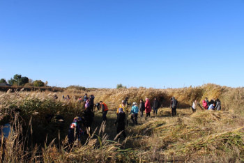 Фотография к новости: Единение в труде: как "Таза Қазақстан" помогает улучшить жизнь  в области Абай