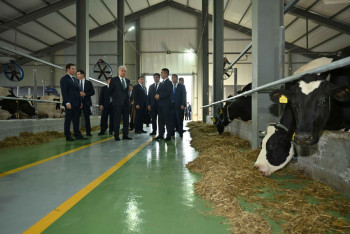 Фотография к новости: Президент посетил молочно-товарную ферму "Борте Милка"