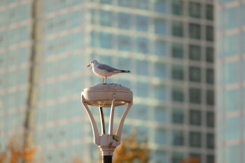 Фотография к новости: Сократить прогулки в субботу рекомендовали жителям восьми городов