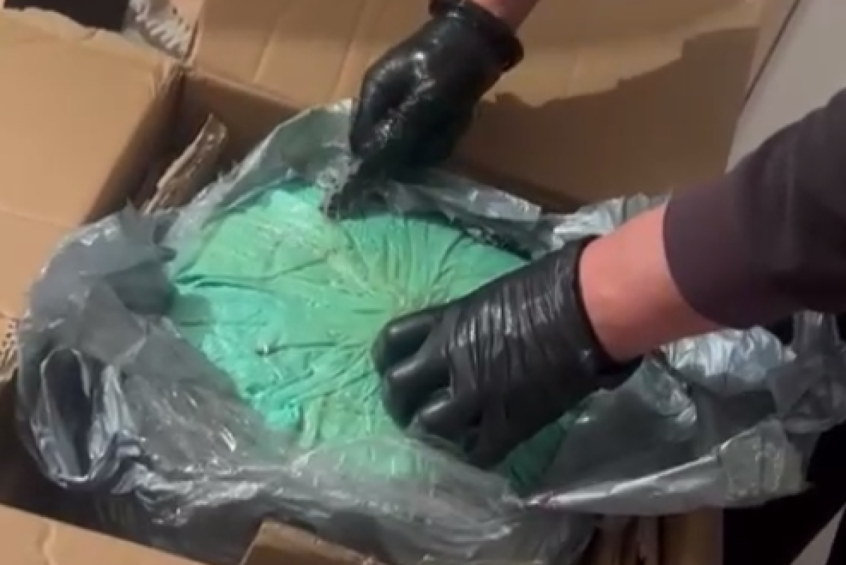 скриншот с видео МВД РК