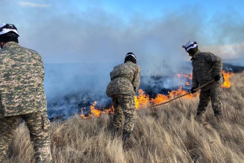 Фотография к новости: Кадры с места крупного пожара в Карагандинской области показали спасатели