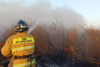 Фотография к новости: Загоревшаяся сухая трава чуть не спалила лес в Костанайской области