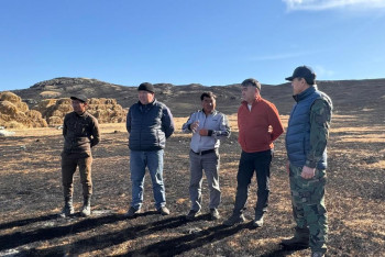 Фотография к новости: Какую помощь окажут пострадавшим от степного пожара в Карагандинской области