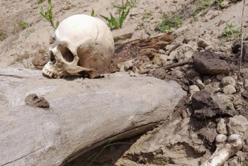 Фотография к новости: Чудовищную находку обнаружили на кладбище в Усть-Каменогорске