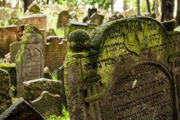 Фотография к новости: В Чехии запретили хоронить людей в гробах