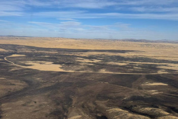 Фотография к новости: Как выглядит пепелище после степного пожара в Карагандинской области
