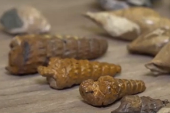 Фотография к новости: Уникальные находки делает в степи жительница Актау