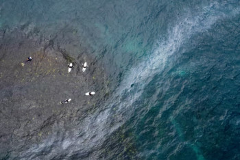 Фотография к новости: В Австралии закрыли пляж из-за таинственных черных шаров