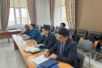 Заехала за хлебом на служебном авто: замакима наказали в СКО