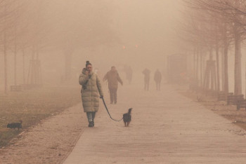 Фотография к новости: Туман накроет ряд областей Казахстана в воскресенье