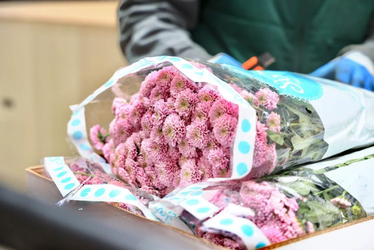 BaigeNews.kz / иллюстративное фото