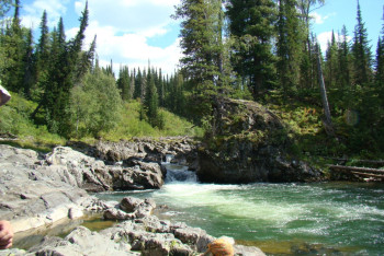 Фотография к новости: Защитники зелёных лёгких страны: День работников лесного хозяйства отмечают в Казахстане