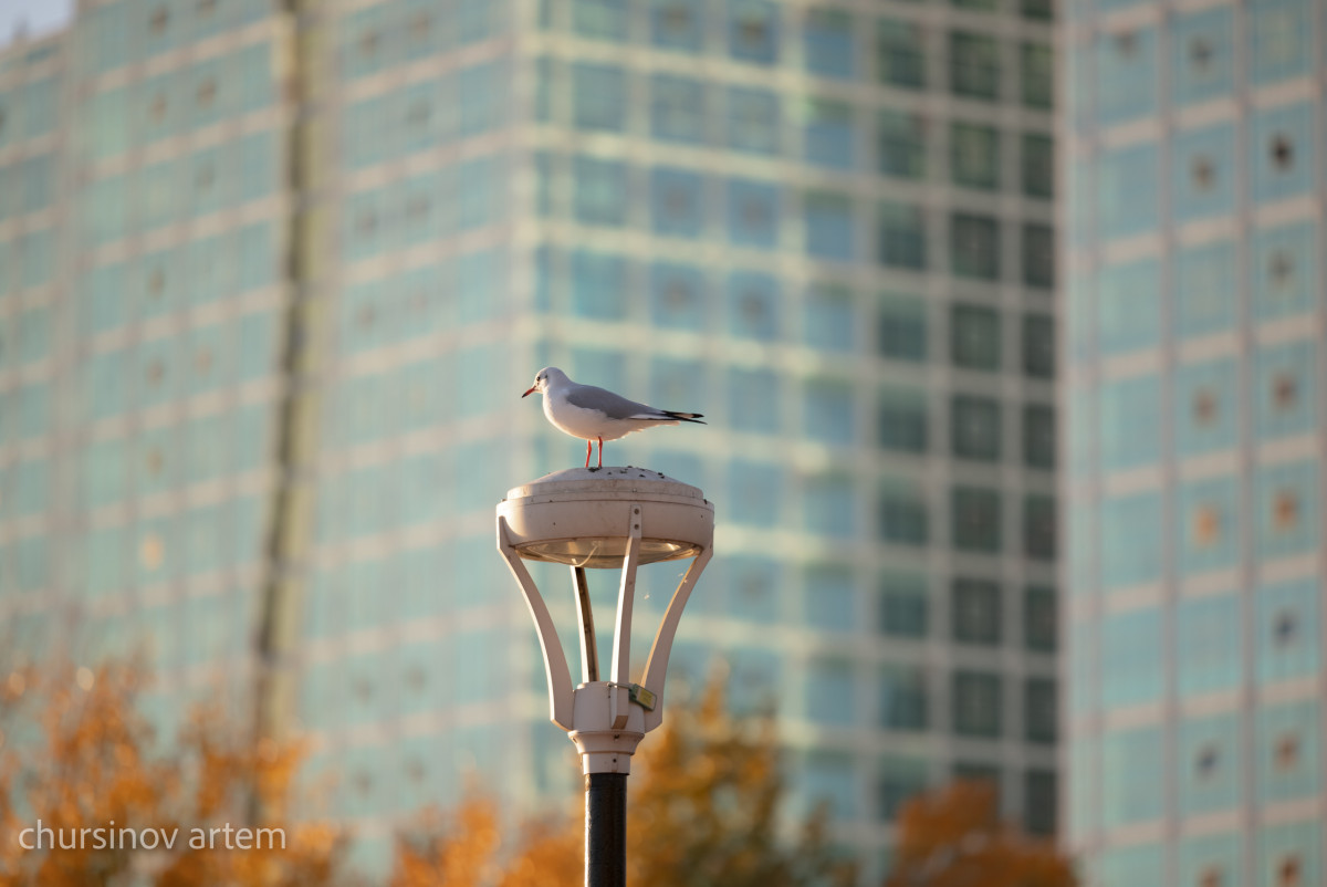 Артём Чурсинов/BaigeNews.kz