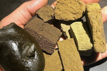 Фотография к новости: 15 килограммов гашиша нашли полицейские в доме акмолинца